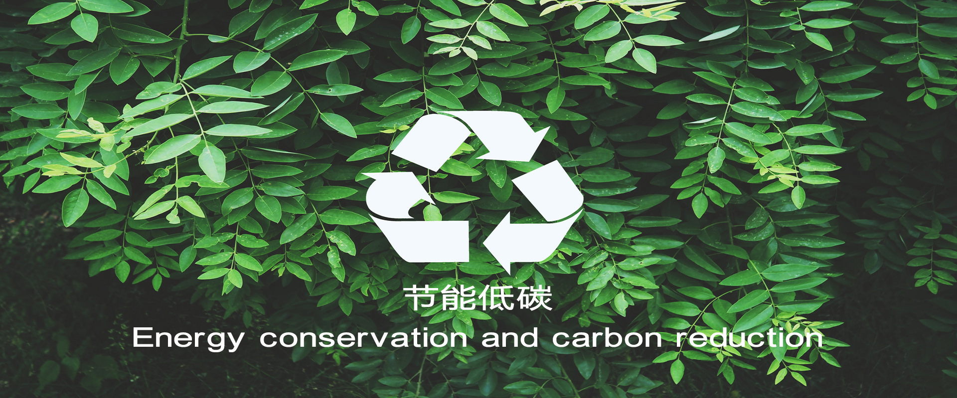 博源国际(中国区)-官方网站